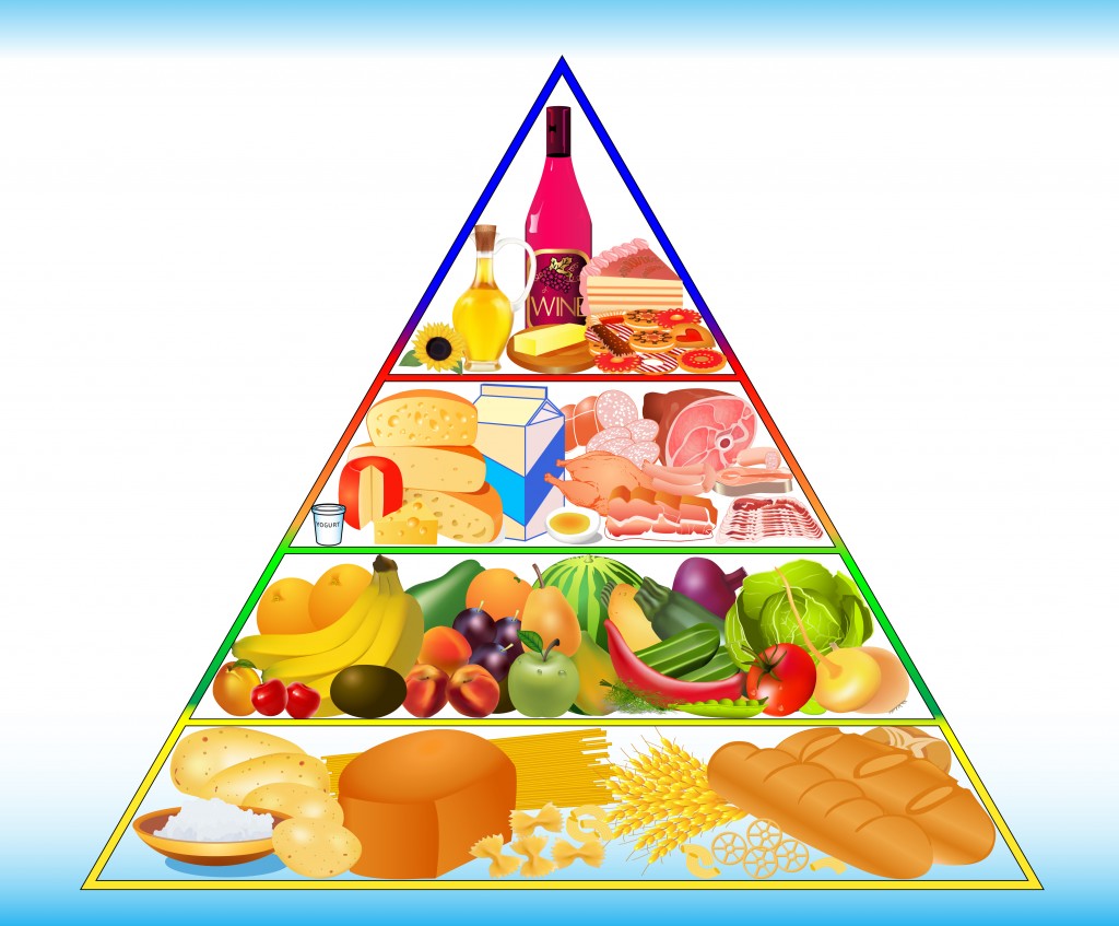 Food Pyramid 4090